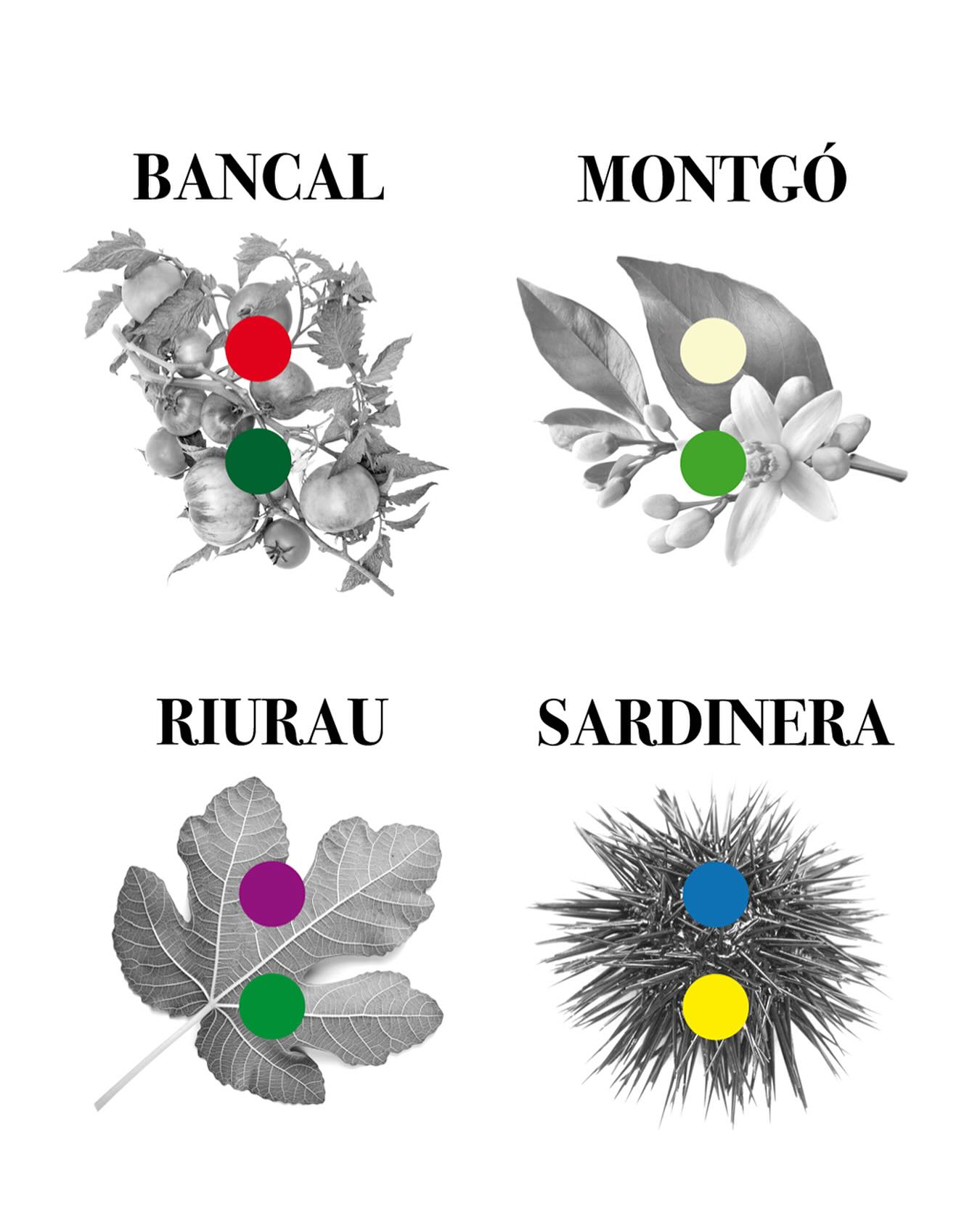 Perfumes San Jávea